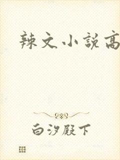 辣文小说高h