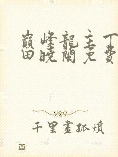 巅峰龙主丁长顺田晓兰免费阅读