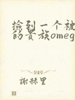 捡到一个被抹布的贵族omega