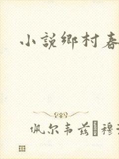 小说乡村春光