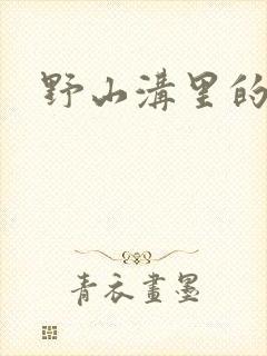 野山沟里的村庄