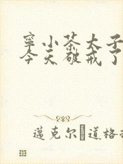 宁小茶太子殿下今天破戒了吗免费阅读