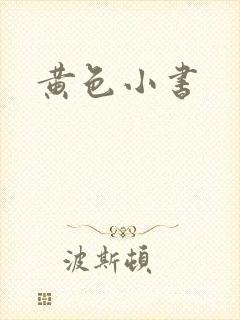 黄色小书