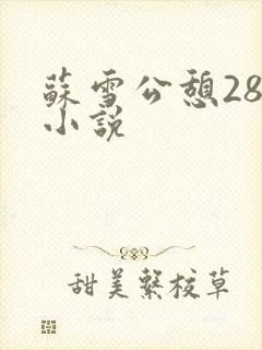 苏雪公憩28篇小说