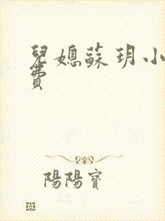 儿媳苏玥小说免费