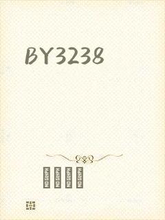 BY3238