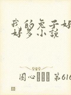 我的兔子好软水好多小说