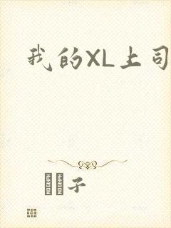 我的XL上司