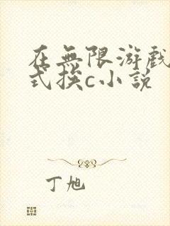 在无限游戏里花式挨c小说