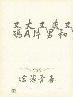 又大又爽又黄无码A片男和男