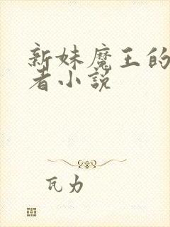 新妹魔王的契约者小说