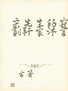 宋先生的宠妻计划轩家沐言