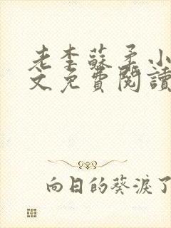 老李苏柔小说全文免费阅读