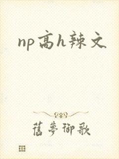 np高h辣文