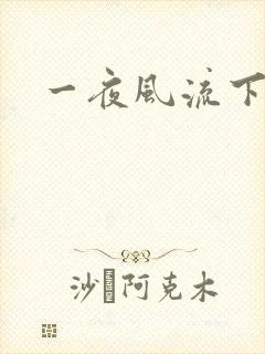 一夜风流下载