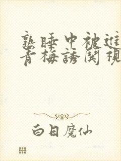 熟睡中被进了H青梅诱哄视频