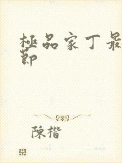 极品家丁最新章节