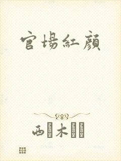 官场红颜