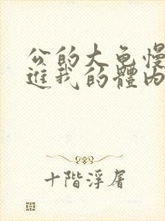 公的大龟慢慢挺进我的体内视频