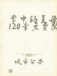 掌中的美母版主120章免费阅读