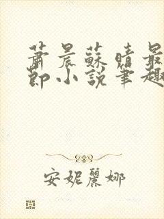 萧晨苏晴最新章节小说笔趣阁