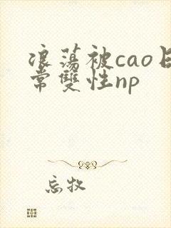 浪荡被cao日常双性np