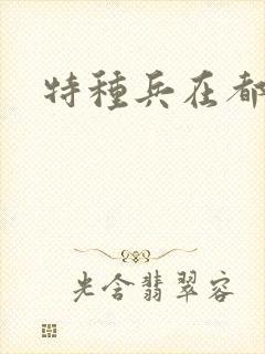 特种兵在都市