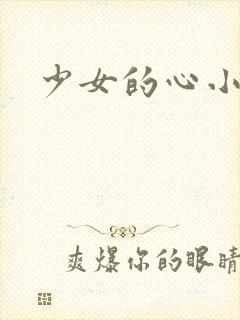 少女的心小说
