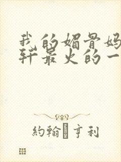 我的媚骨妈妈林轩最火的一句