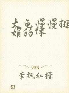 大龟慢慢挺进张娟的休