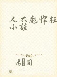 人不彪悍枉少年小说