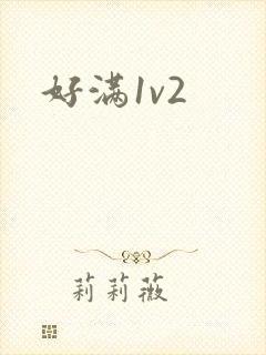 好满1v2