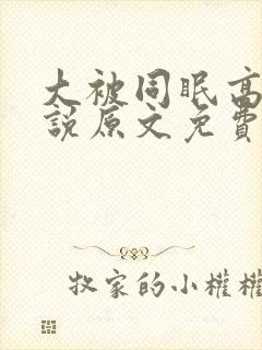 大被同眠高粱小说原文免费阅读