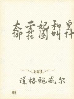 太子妃和皇帝在御花园叫什么小说