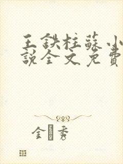 王铁柱苏小汐小说全文免费阅读最新章节