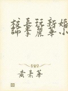 校长玩新婚女教师李丽华小说