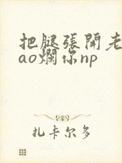 把腿张开老子cao烂你np