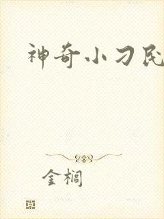神奇小刁民
