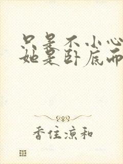 只是不小心发现她是卧底而已