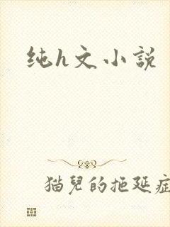 纯h文小说