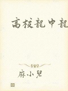 高校龙中龙