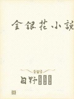 金银花小说乐可