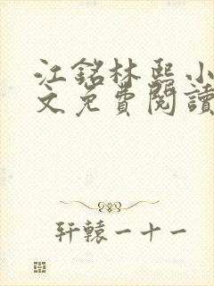 江铭林熙小说全文免费阅读