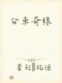 公车奇缘