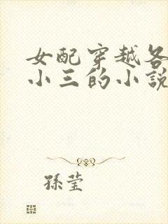 女配穿越各个做小三的小说