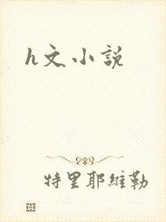 h文小说