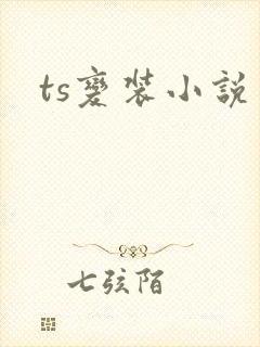 ts变装小说