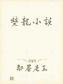 双龙小说