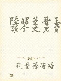 陆昭菱晋王的小说全文免费阅读