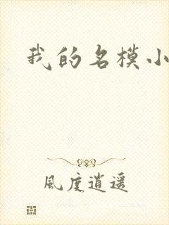 我的名模小娇妻